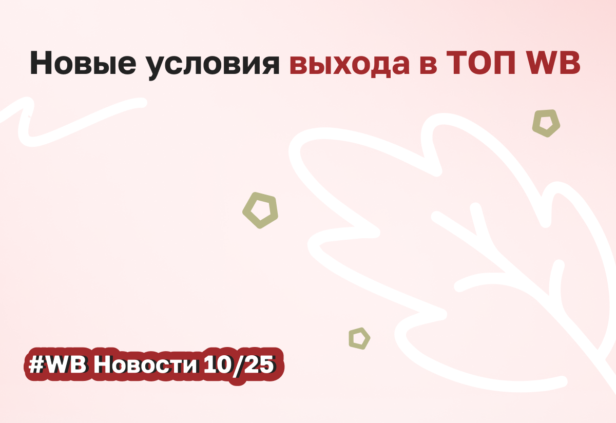 Как пробиться в ТОП выдачи ВБ? Разбираем обновления