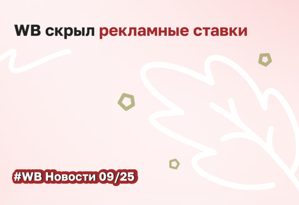 Wildberries скрыл данные о ставках и типах рекламных кампаний